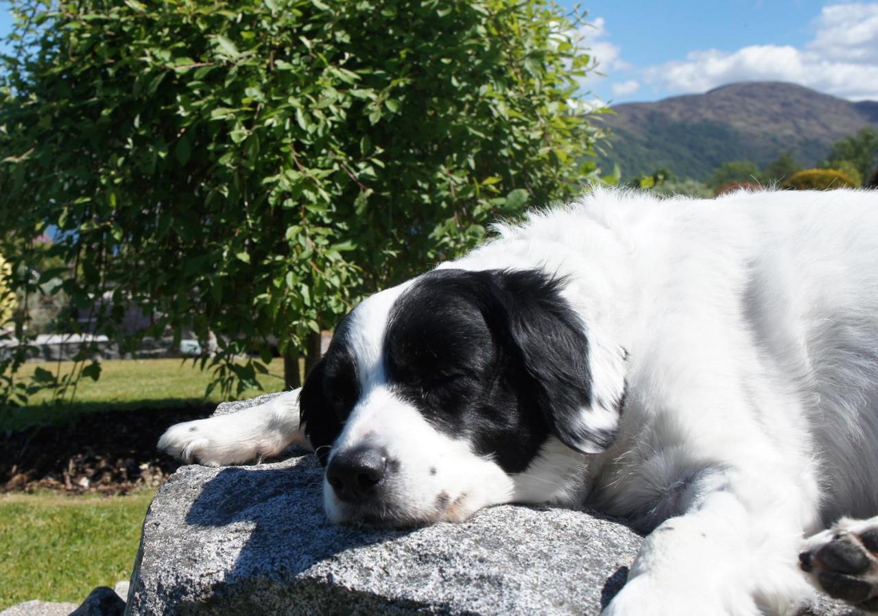 The Allanbreck Studio Glencoe Ballachulish Highlands Near Fortwilliam 외부 사진